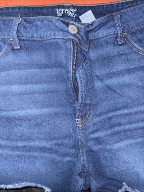 Terra & Sky Indigo Blue High-Rise Denim Shorts